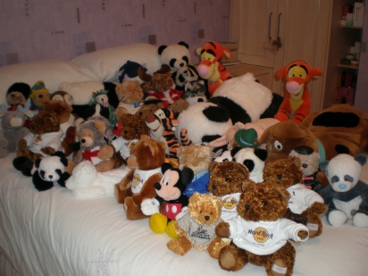 Meet the Bears